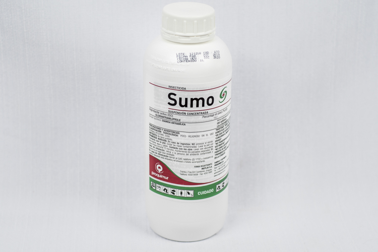 SUMO (1LT)